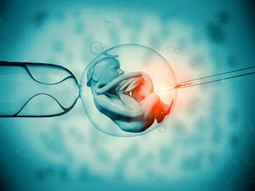 In Vitro Fertilization (IVF): Success Rate – Risk – Cost